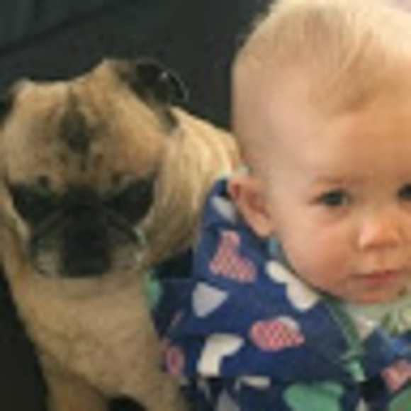 Meet your Posher, Edward - Picture 1 of 1